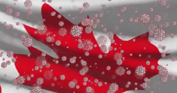 Covid Vírusjárvány Kanadában Kanadai Nemzeti Zászló Koronavírussal — Stock videók