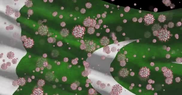 Pandemia Virale Covid Pakistan Bandiera Nazionale Pakistana Con Coronavirus — Video Stock