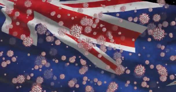 Covid Virus Pandemic New Zealand New Zealand National Flag Coronavirus — Stock Video