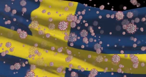 Covid 19病毒在瑞典流行 瑞典国旗 带有头孢病毒 — 图库视频影像
