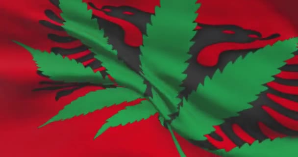 Bandiera Nazionale Albanese Con Foglia Cannabis Status Giuridico Della Marijuana — Video Stock