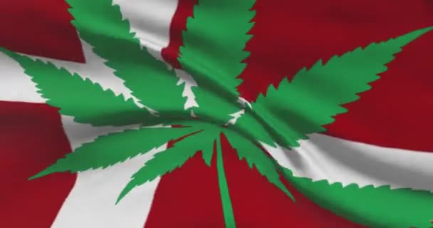 丹麦国旗 上有大麻叶 医疗大麻在国内的法律地位 丹麦政府和Thc 关于杂草的社会问题 刑事和法律新闻 — 图库视频影像