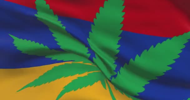 带有大麻叶的哥伦比亚国旗 医疗大麻在国内的法律地位 哥伦比亚政府和人口贩运委员会 关于杂草的社会问题 刑事和法律新闻 — 图库视频影像
