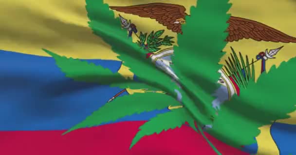大麻の葉を持つエクアドルの国旗 国の医療マリファナの法的地位 エクアドル政府とThc 雑草に関する社会問題 法律のニュース — ストック動画