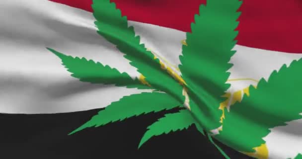 Bandeira Nacional Egípcia Com Folha Cannabis Estado Legal Maconha Medicinal — Vídeo de Stock