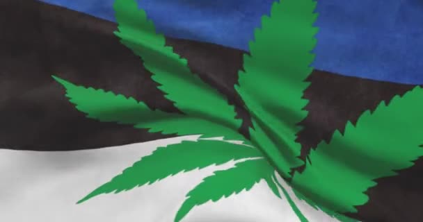 Estónia Bandeira Nacional Com Folha Cannabis Estado Legal Maconha Medicinal — Vídeo de Stock