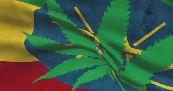 埃塞俄比亚国旗 上有大麻叶 医疗大麻在国内的法律地位 埃塞俄比亚政府和人口贩运委员会 关于杂草的社会问题 刑事和法律新闻 — 图库视频影像