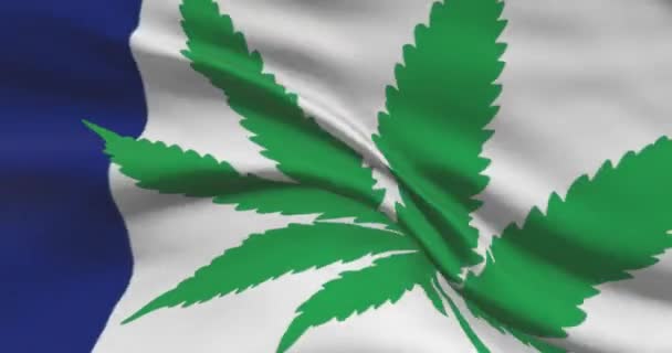 Bandeira Nacional Francesa Com Folha Cannabis Estado Legal Maconha Medicinal — Vídeo de Stock