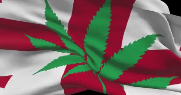 Kenevir Yapraklı Georgia Bayrağı Ülkede Tıbbi Marihuananın Yasal Durumu Gürcistan — Stok video