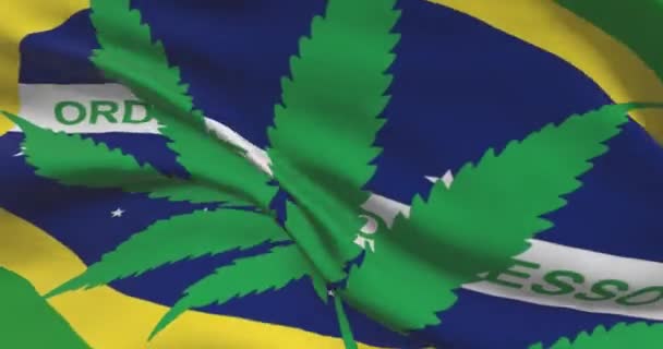 Bandera Nacional Brasileña Con Hoja Cannabis Estatuto Legal Marihuana Medicinal — Vídeo de stock