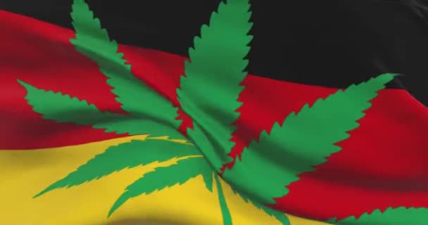 德国国旗与大麻叶 医疗大麻在国内的法律地位 德国政府和Thc 关于杂草的社会问题 刑事和法律新闻 — 图库视频影像