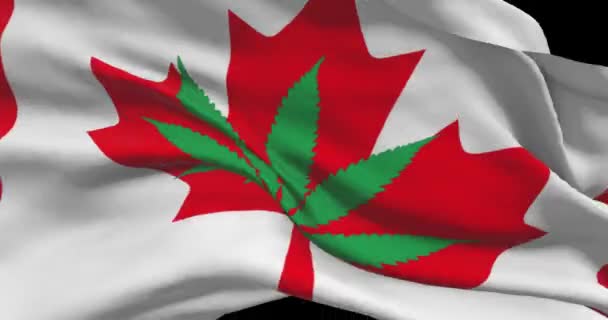Bandera Nacional Canadiense Con Hoja Cannabis Estatuto Legal Marihuana Medicinal — Vídeos de Stock