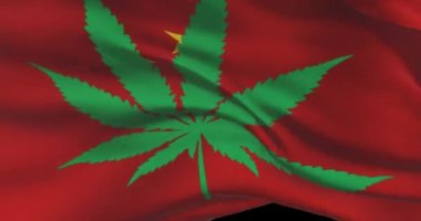 Kenevir yapraklı Çin bayrağı. Ülkede tıbbi marihuananın yasal durumu. Çin hükümeti ve THC. Ot hakkında sosyal mesele, siyaset, suç ve hukuk haberleri