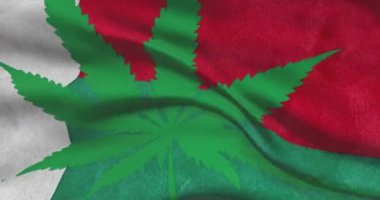 Madagaskar ulusal bayrağı ve kenevir yaprağı. Ülkede tıbbi marihuananın yasal durumu. Madagaskar hükümeti ve THC. Ot hakkında sosyal mesele, siyaset, suç ve hukuk haberleri