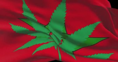 Kenevir yapraklı Fas bayrağı. Ülkede tıbbi marihuananın yasal durumu. Fas hükümeti ve THC. Ot hakkında sosyal mesele, siyaset, suç ve hukuk haberleri