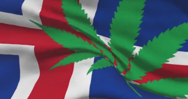 Ijsland Nationale Vlag Met Cannabisblad Wettelijke Status Van Medicinale Marihuana — Stockvideo