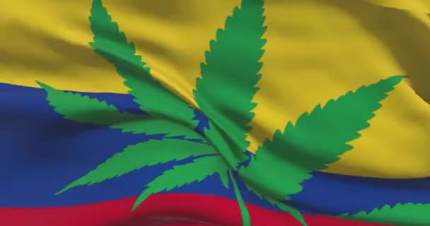 Kolumbijská Národní Vlajka Listem Konopí Právní Status Lékařské Marihuany Zemi — Stock video
