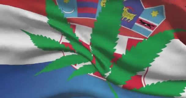 Bandeira Nacional Croata Com Folha Cannabis Estado Legal Maconha Medicinal — Vídeo de Stock