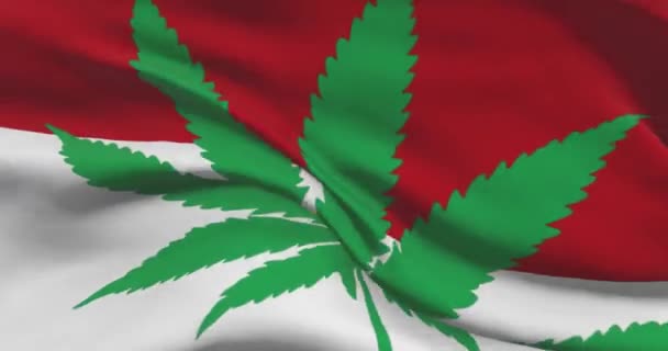 大麻の葉を持つモナコの国旗 国の医療マリファナの法的地位 モナコ政府とThc 雑草に関する社会問題 法律のニュース — ストック動画