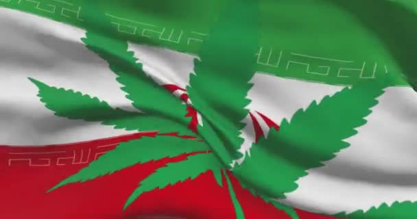 Irańska Flaga Narodowa Liściem Marihuany Status Prawny Medycznej Marihuany Kraju — Wideo stockowe