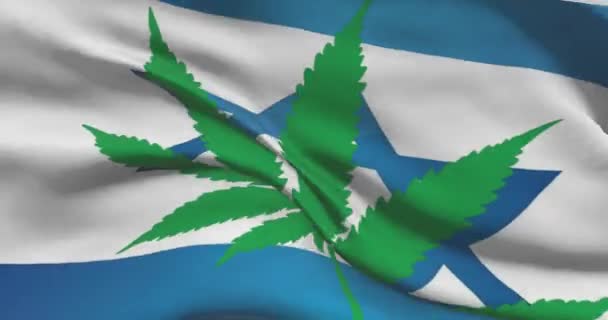 Bandiera Nazionale Israeliana Con Foglia Cannabis Status Giuridico Della Marijuana — Video Stock