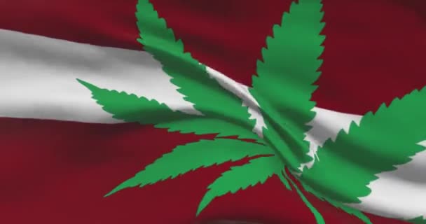 Bandeira Nacional Letã Com Folha Cannabis Estado Legal Maconha Medicinal — Vídeo de Stock