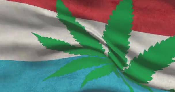 Drapeau National Luxembourg Avec Feuille Cannabis Statut Juridique Marijuana Médicale — Video