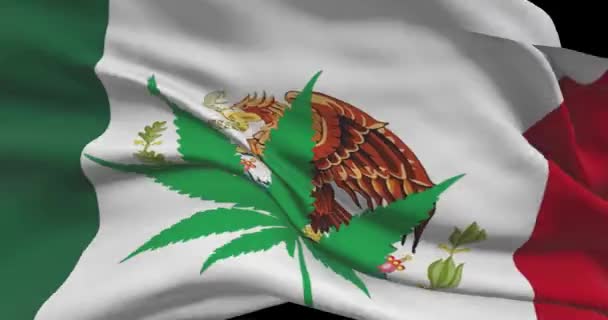 墨西哥国旗与大麻叶 医疗大麻在国内的法律地位 墨西哥政府和Thc 关于杂草的社会问题 刑事和法律新闻 — 图库视频影像