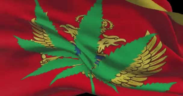 Montenegrinische Nationalflagge Mit Cannabisblatt Rechtlicher Status Von Medizinischem Marihuana Land — Stockvideo