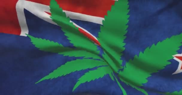 新西兰国旗 上有大麻叶 医疗大麻在国内的法律地位 新西兰政府和Thc 关于杂草的社会问题 刑事和法律新闻 — 图库视频影像