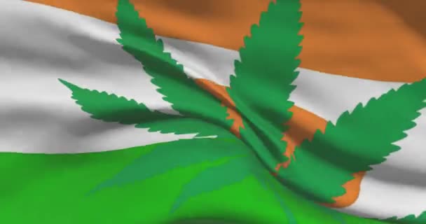 Bandera Nacional Níger Con Hoja Cannabis Estatuto Legal Marihuana Medicinal — Vídeo de stock