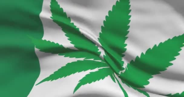 Bandeira Nacional Nigeriana Com Folha Cannabis Estado Legal Maconha Medicinal — Vídeo de Stock