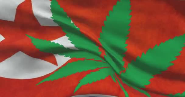 Bandeira Nacional Omani Com Folha Cannabis Estado Legal Maconha Medicinal — Vídeo de Stock