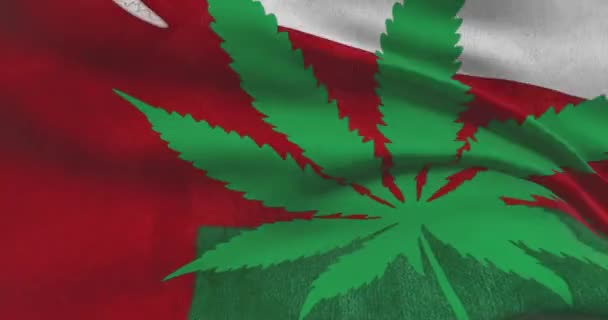 Bandera Nacional Omaní Con Hoja Cannabis Estatuto Legal Marihuana Medicinal — Vídeo de stock