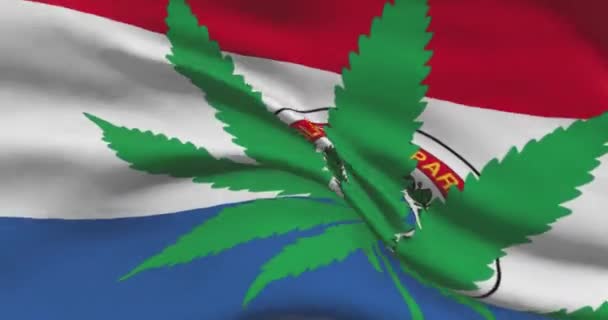 Bandera Nacional Paraguaya Con Hoja Cannabis Estatuto Legal Marihuana Medicinal — Vídeo de stock