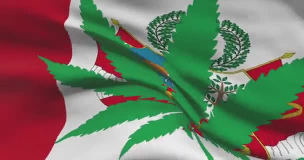 Peruvian National Flag Cannabis Leaf Legal Status Medical Marijuana Country — Stock Video