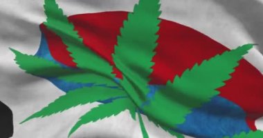 Kenevir yapraklı Güney Kore bayrağı. Ülkede tıbbi marihuananın yasal durumu. Güney Kore hükümeti ve THC. Ot hakkında sosyal mesele, siyaset, suç ve hukuk haberleri