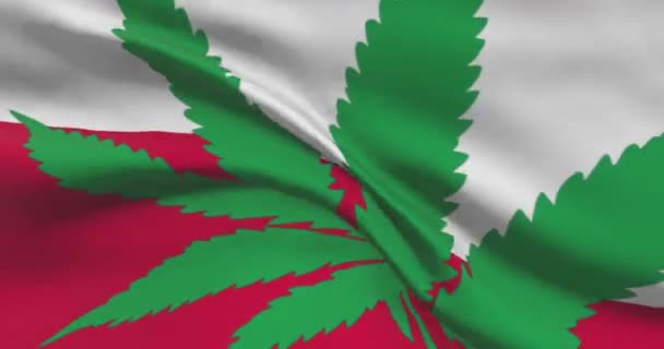 Bandera Nacional Polaca Con Hoja Cannabis Estatuto Legal Marihuana Medicinal — Vídeo de stock