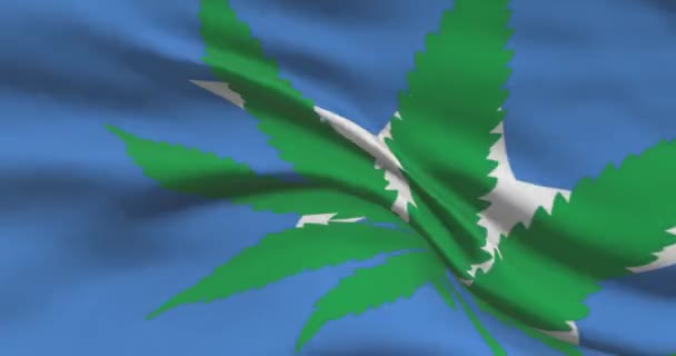 Bandera Nacional Somalia Con Hoja Cannabis Estatuto Legal Marihuana Medicinal — Vídeo de stock