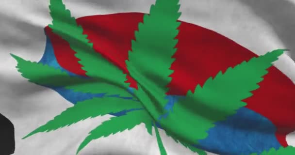 Bandeira Nacional Sul Coreana Com Folha Cannabis Estado Legal Maconha — Vídeo de Stock