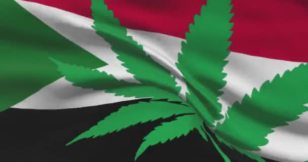 Bandera Nacional Sudanesa Con Hoja Cannabis Estatuto Legal Marihuana Medicinal — Vídeo de stock