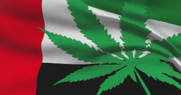 Flaga Emiratów Arabskich Liściem Marihuany Status Prawny Medycznej Marihuany Kraju — Wideo stockowe