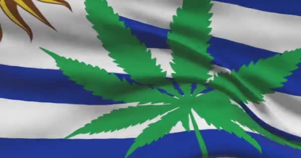 Bandera Nacional Uruguaya Con Hoja Cannabis Estatuto Legal Marihuana Medicinal — Vídeo de stock