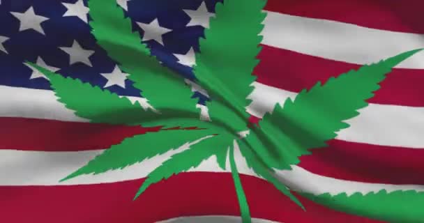 美国国旗与大麻叶 医疗大麻在国内的法律地位 美利坚合众国政府和Thc 关于杂草的社会问题 刑事和法律新闻 — 图库视频影像