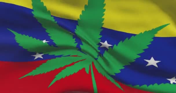 Bandeira Nacional Venezuelana Com Folha Cannabis Estado Legal Maconha Medicinal — Vídeo de Stock