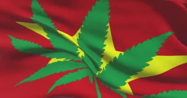 带有大麻叶的越南国旗 医疗大麻在国内的法律地位 越南政府和Thc 关于杂草的社会问题 刑事和法律新闻 — 图库视频影像