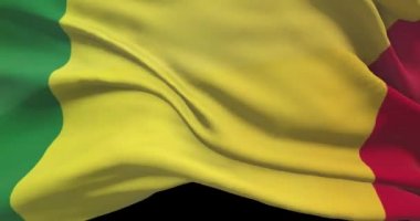 Mali ulusal bayrak görüntüleri. Mali bayrağı rüzgarda dalgalandırıyor
