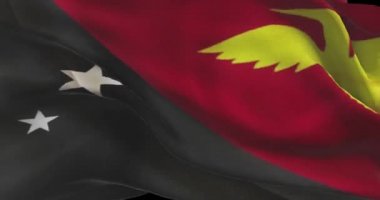 Papua Yeni Gine ulusal bayrak görüntüsü. Papua Yeni Gine rüzgarda dalgalanan ülke bayrağı