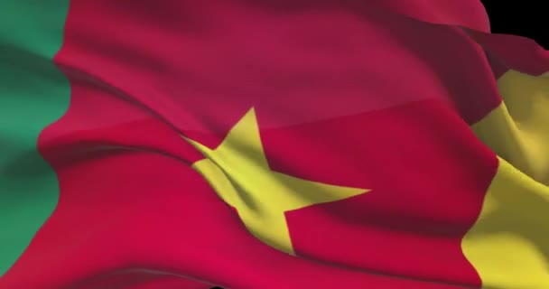 Камерунські Національні Кадри Прапором Камерун Махає Прапором Країни Вітром — стокове відео