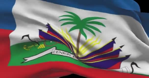 Haiti Nin Ulusal Bayrak Görüntüleri Haiti Rüzgarda Bayrak Sallıyor — Stok video